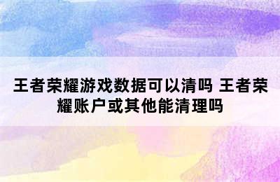 王者荣耀游戏数据可以清吗 王者荣耀账户或其他能清理吗